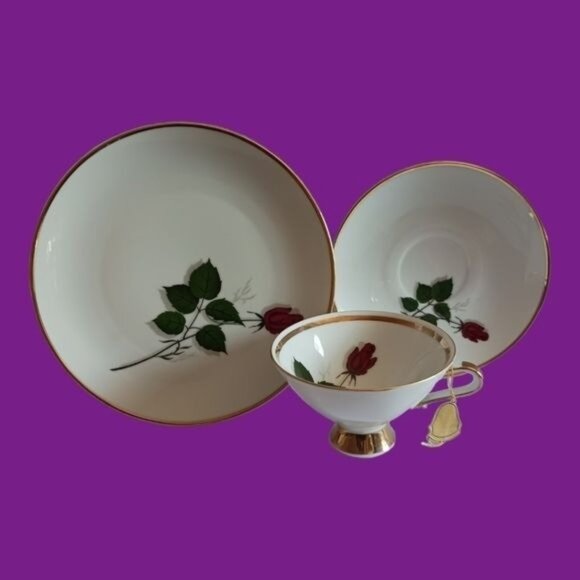 Winterling marktleuthen Bavaria roseset of 3 pcs